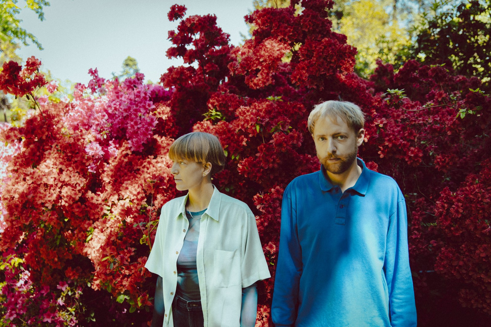 Photo de CITRON CITRON