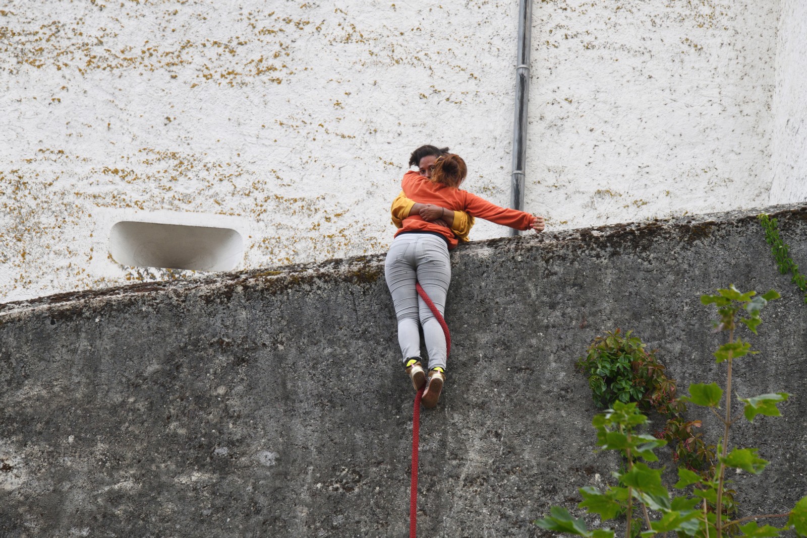 Photo de CIE PIEDS PERCHÉS